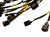 OBD2 Budget D & B Series Tucked Engine Harness Civic Integra B16 B18 B20 D16 D15 - Jack Spania Racing