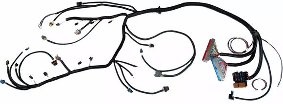 99 - 03 VORTEC 4.8 5.3 6.0 Standalone EV1 LS Wiring Harness W/4L80E (DBC) US