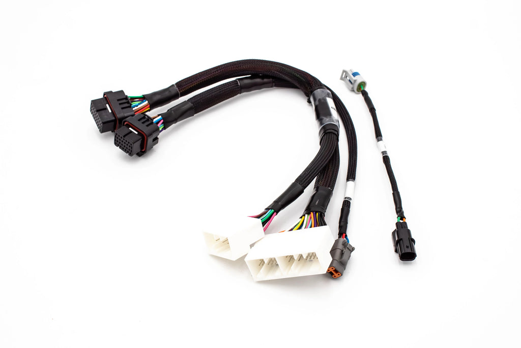 JackSpania Racing Haltech Elite 1000/1500 K Series jumper adapter harness for Honda K20 and K24 engines.