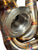 316SS Tubular Turbo Manifold Evo 7 8 9 4G63 44mm Wastegate Vband Garrett G25 G30