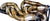 Lamborghini Aventador LP700 LP720 LP740 SV LP750 F1 Equal Length Exhaust Header