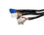 K20 K24 K Series Tucked Engine Charge Wire Harness For MR2 K Swap RWD Civic EG - Jack Spania Racing